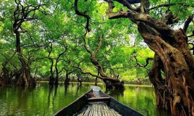 সিলেটের-আঞ্চলিক-ভাষা