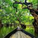 সিলেটের-আঞ্চলিক-ভাষা