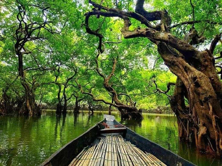 সিলেটের-আঞ্চলিক-ভাষা