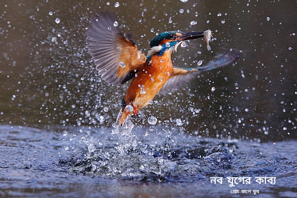 প্রেমজলে-ডুব-বাংলা-কবিতা পিকচার