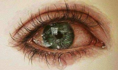 ভাঙনের-শব্দহীনতা-pc